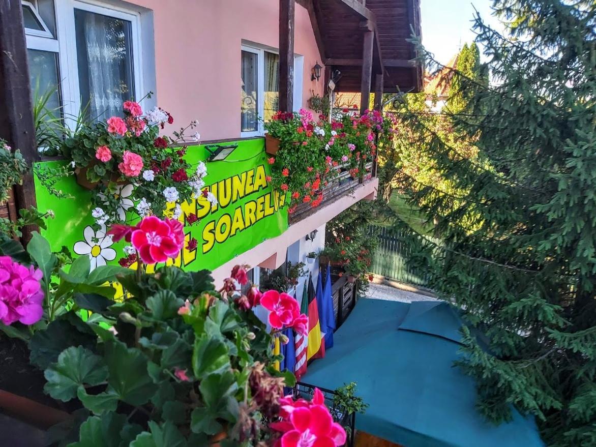 Pensiunea Agroturistica Piscul Soarelui Campulung Exterior foto
