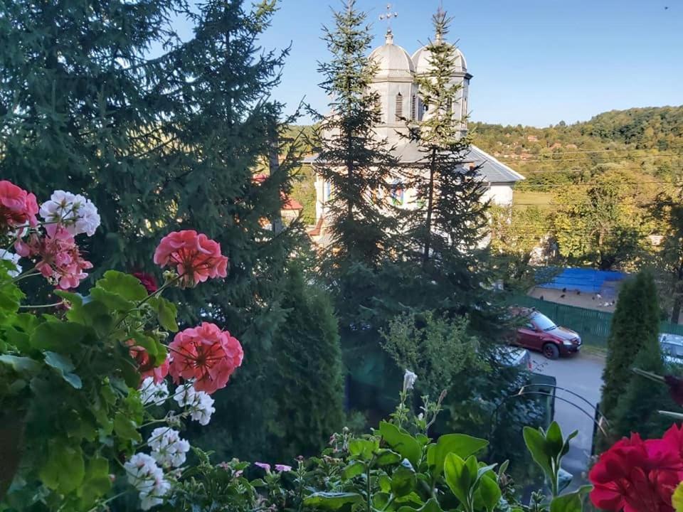 Pensiunea Agroturistica Piscul Soarelui Campulung Exterior foto