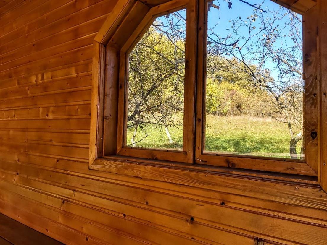 Pensiunea Agroturistica Piscul Soarelui Campulung Exterior foto