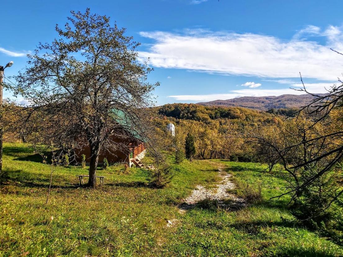Pensiunea Agroturistica Piscul Soarelui Campulung Exterior foto