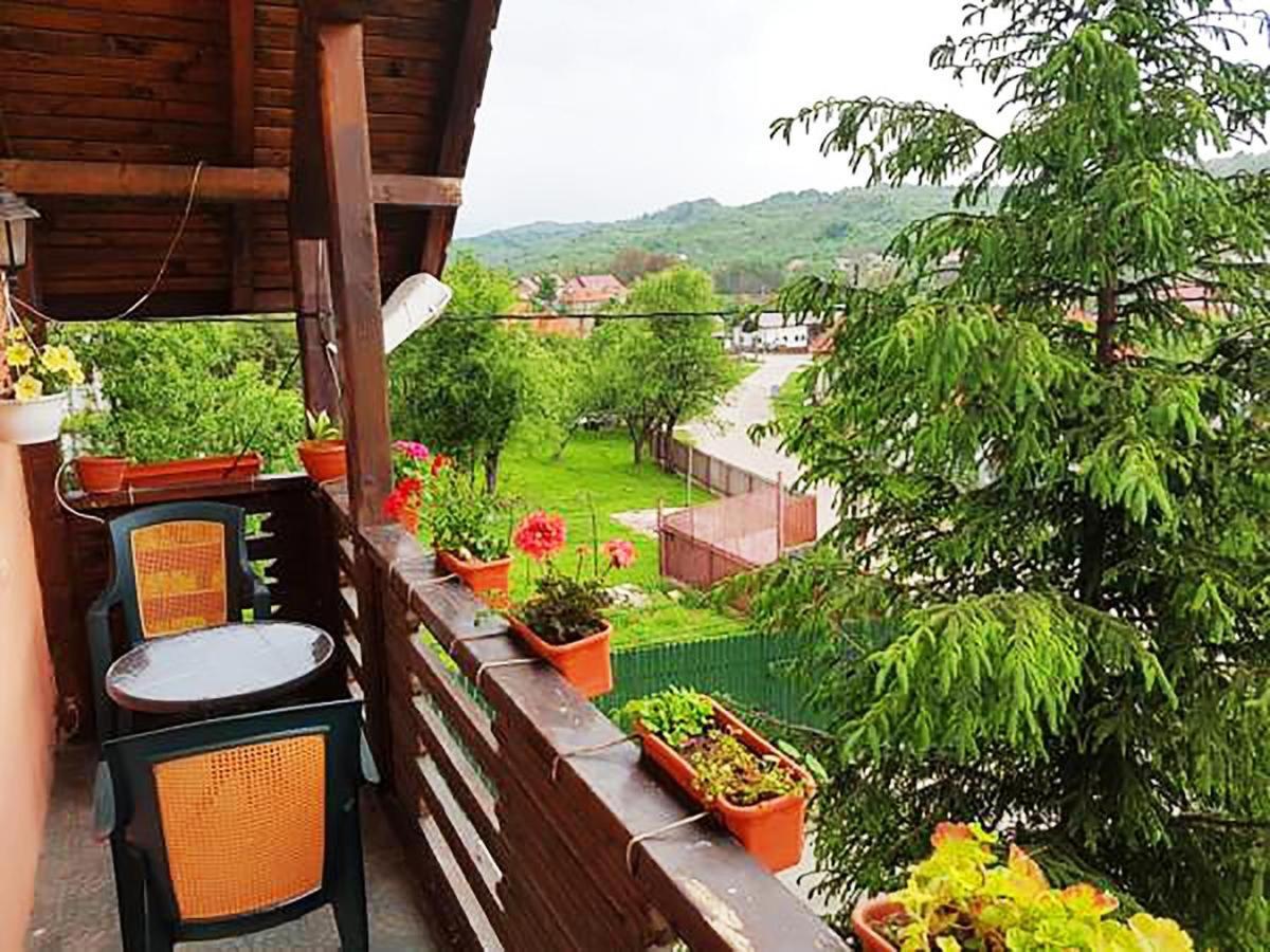 Pensiunea Agroturistica Piscul Soarelui Campulung Exterior foto